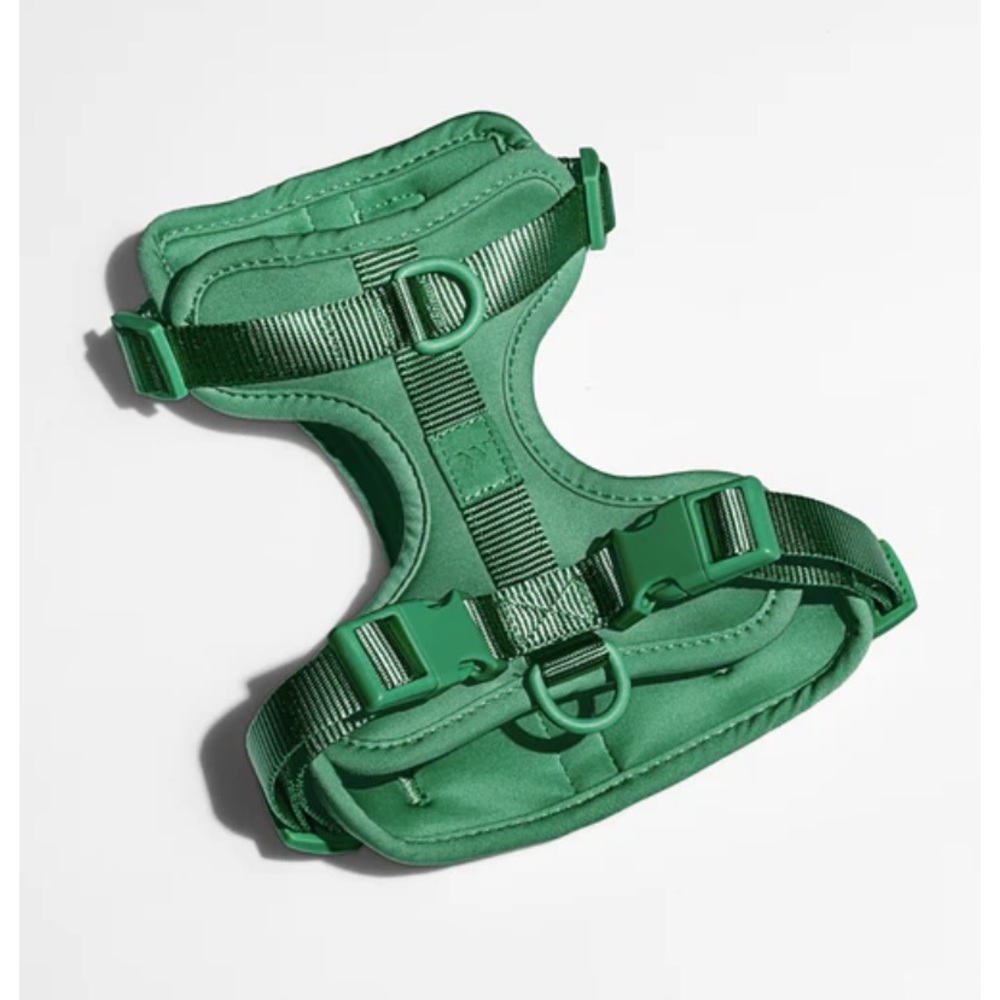 size small Wild One dog harness